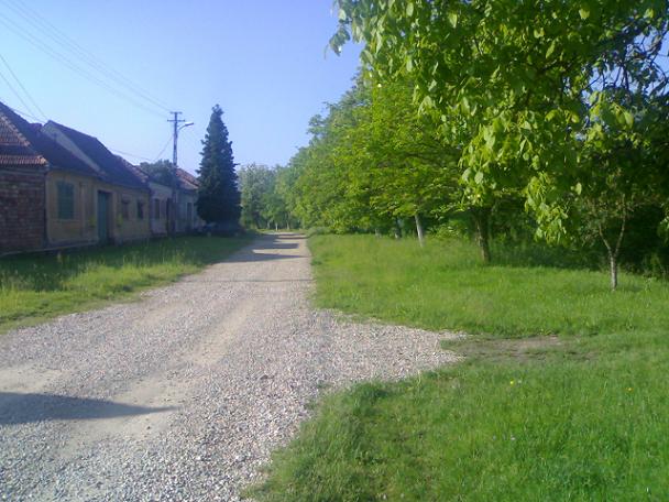 Zăvoiul