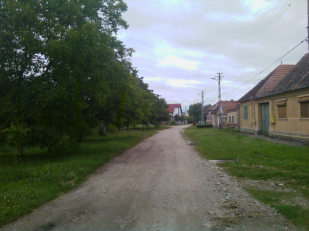 Zăvoiul meu